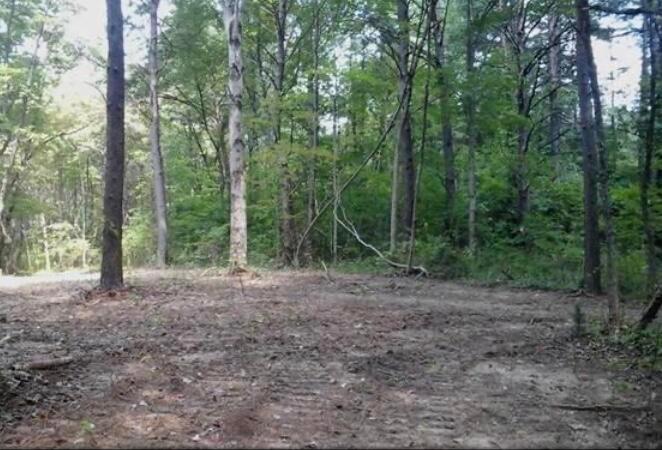 2265 Bethel Ridge Road Beaver, OH 45613 - Photo 11 of 18 C82B8D4E-252A-4ED1-A565-CDDC825F0EA5