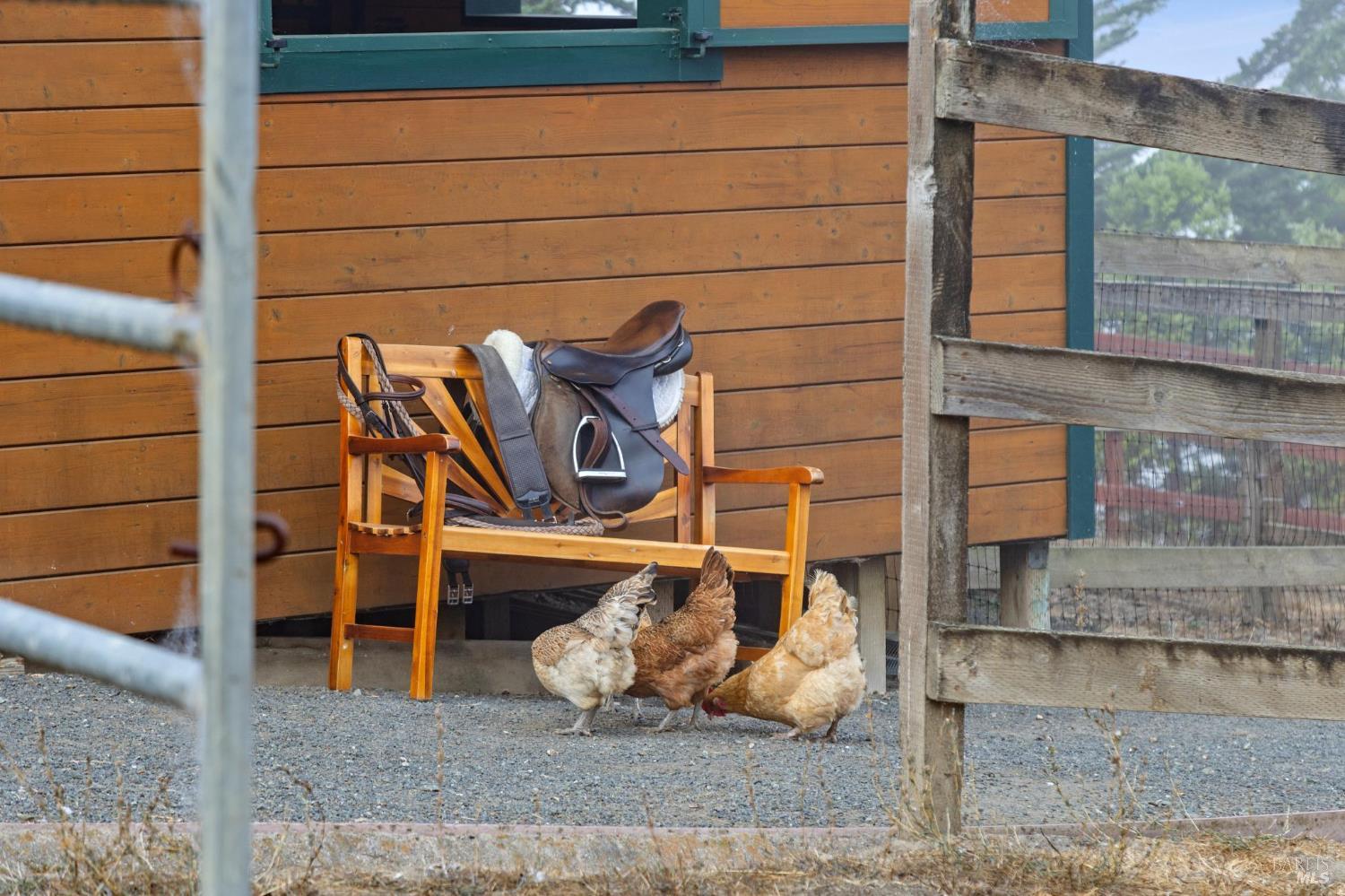 6381 Nicasio Valley Road Nicasio, CA 94946 - Photo 77 of 99