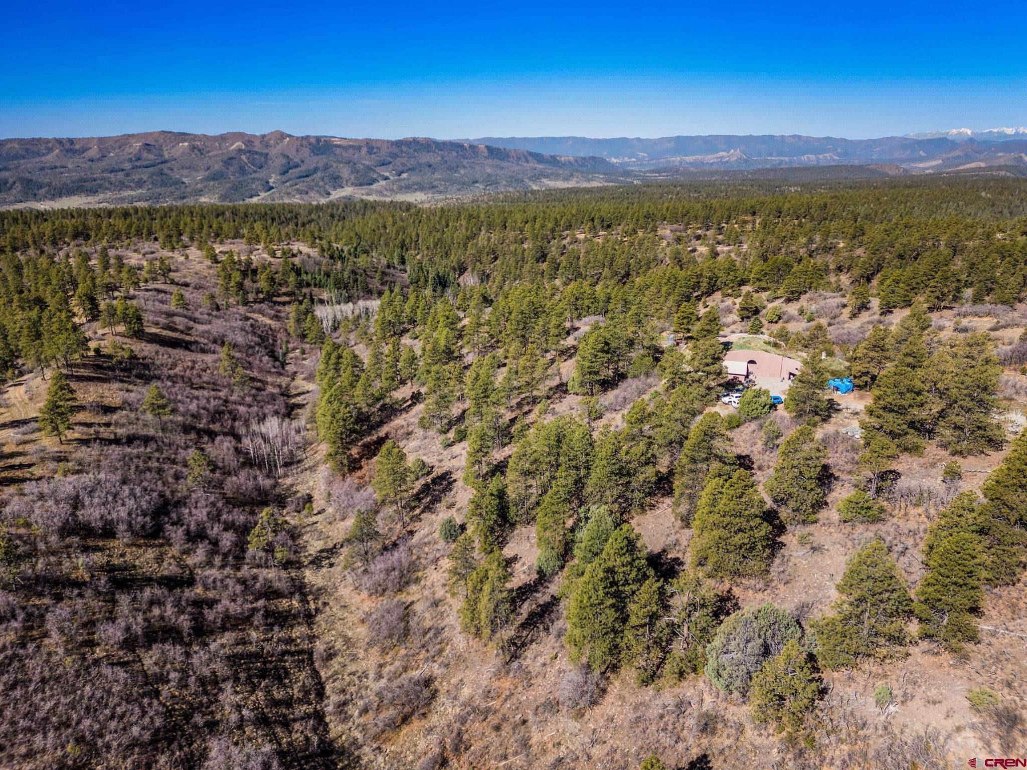 235 Rimview Court Pagosa Springs, CO 81147 - Photo 7 of 45