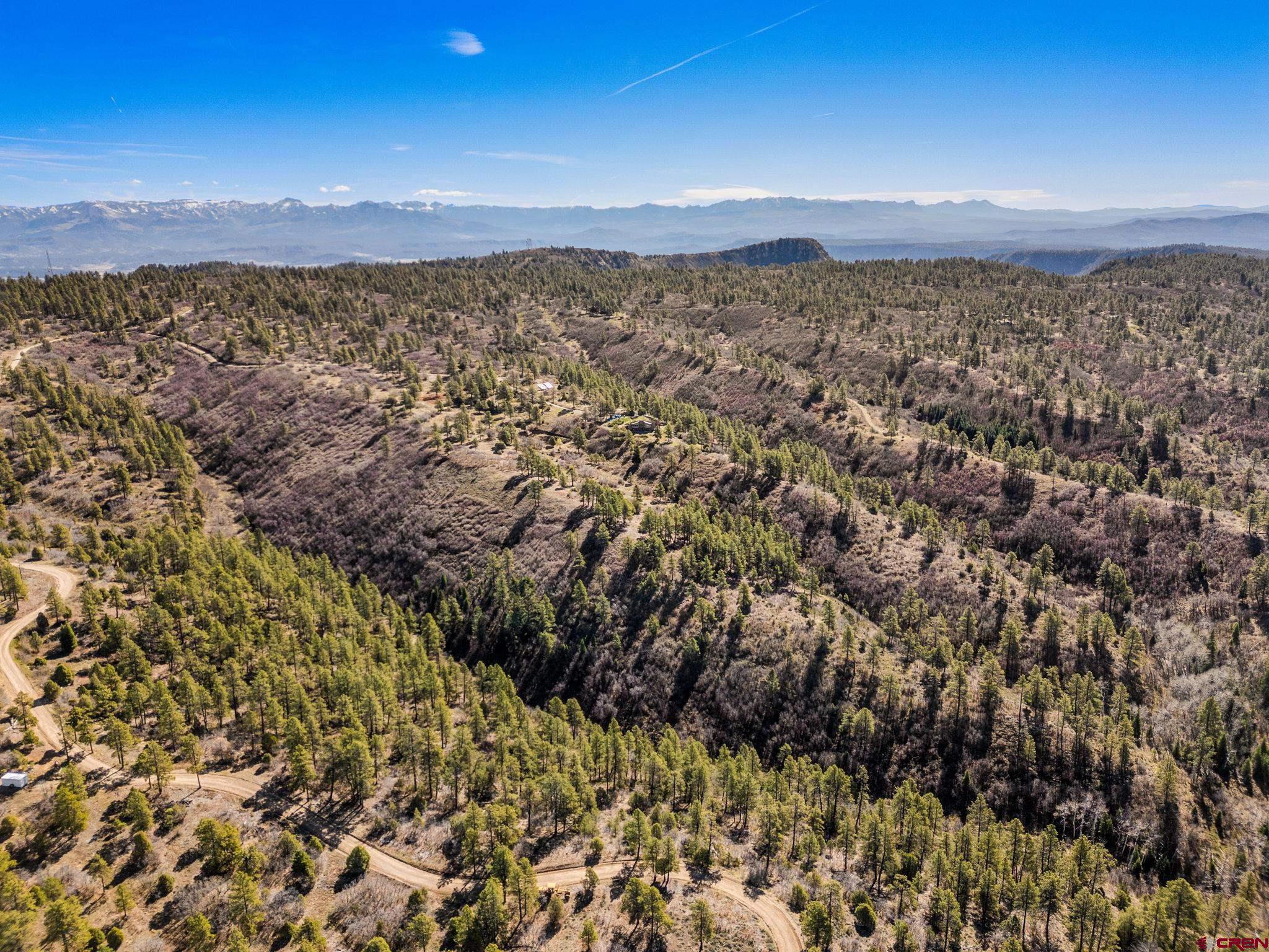 235 Rimview Court Pagosa Springs, CO 81147 - Photo 9 of 45