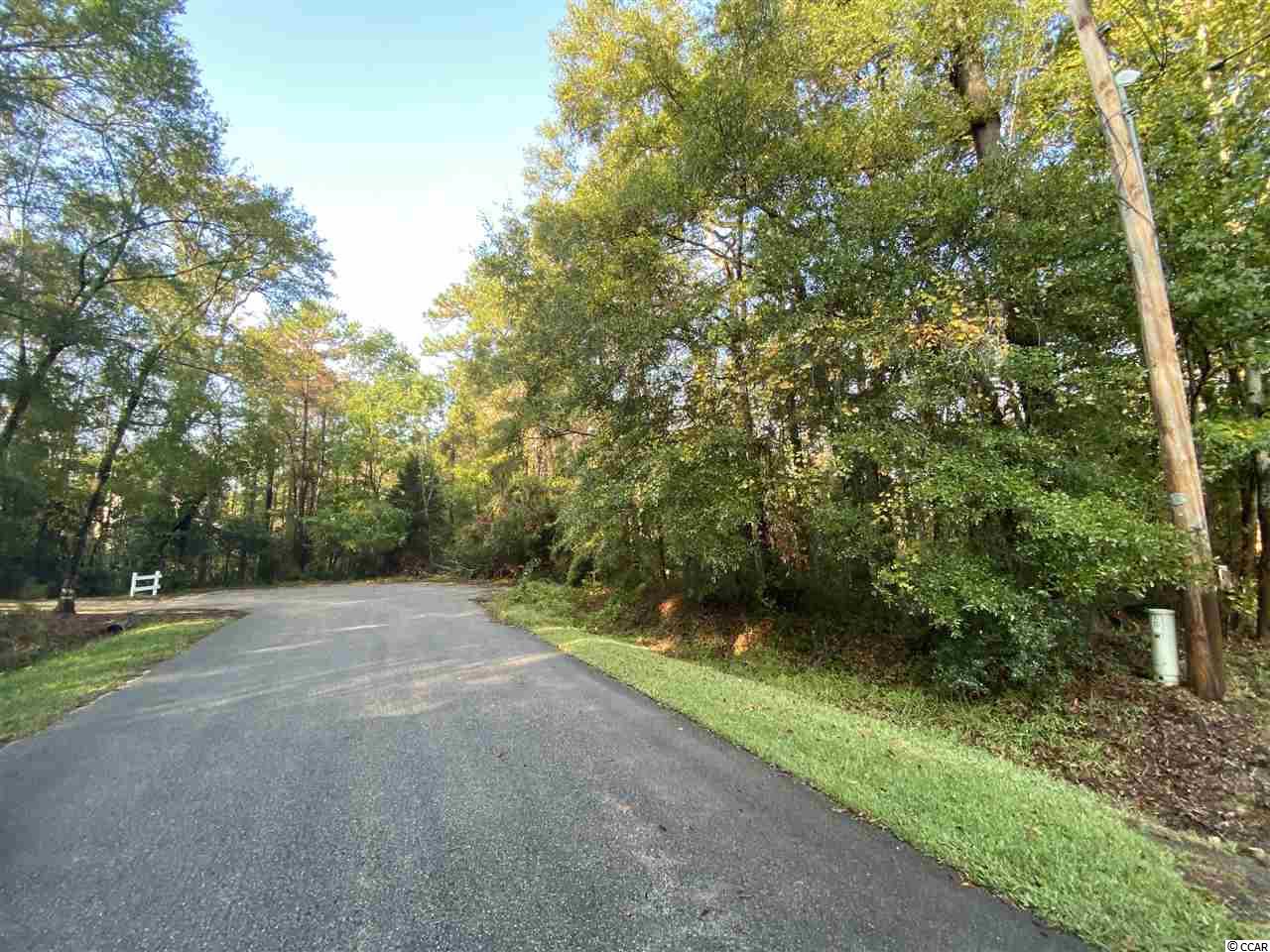 425 Otter Run Road Pawleys Island, SC 29585 - Photo 1 of 5 Gallery Image 1