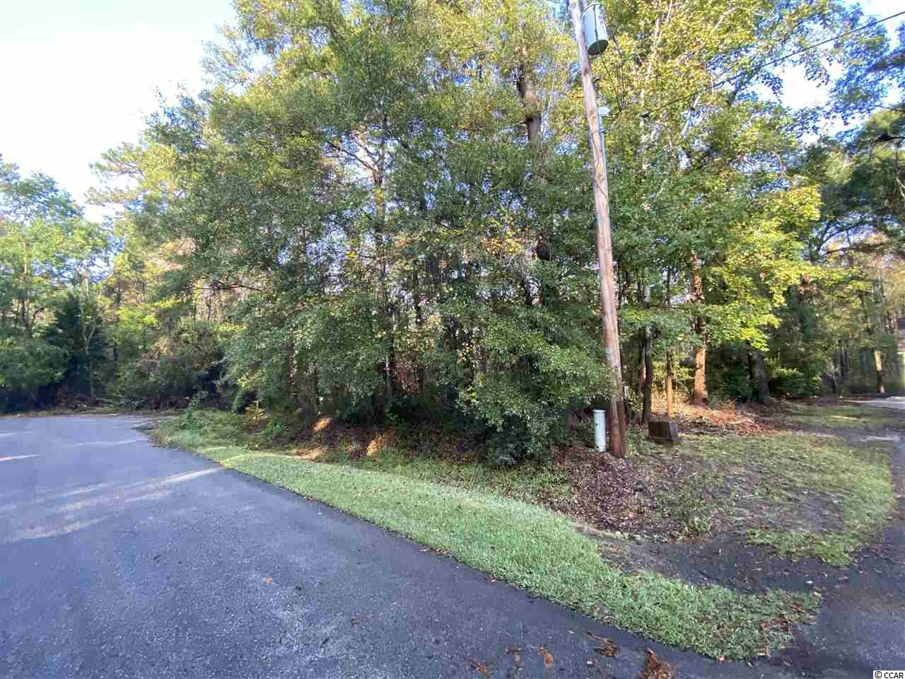 425 Otter Run Road Pawleys Island, SC 29585 - Photo 2 of 5 Gallery Image 2
