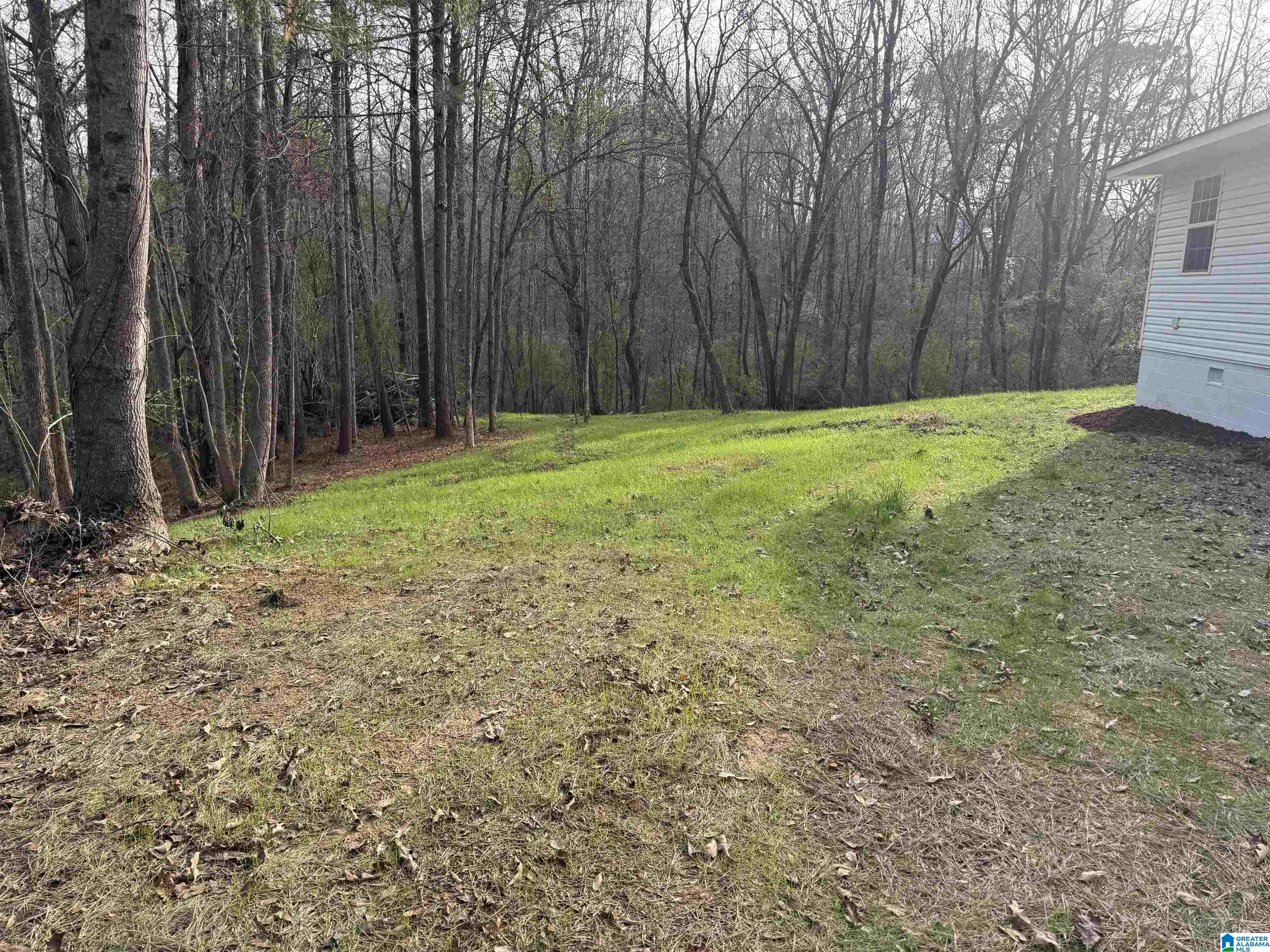 33412 Highway 79 Cleveland, AL 35049 - Photo 37 of 39