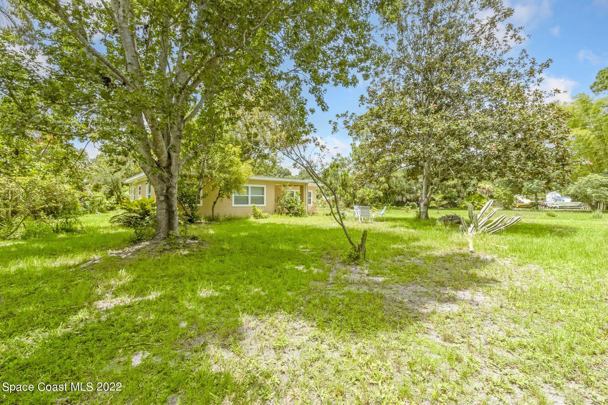 a view of a big yard with swimming pool
