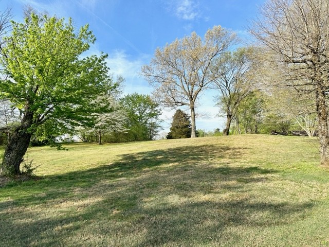 1451 Gibbons Road Cookeville, TN 38506 - Photo 8 of 13 Gallery Image 8