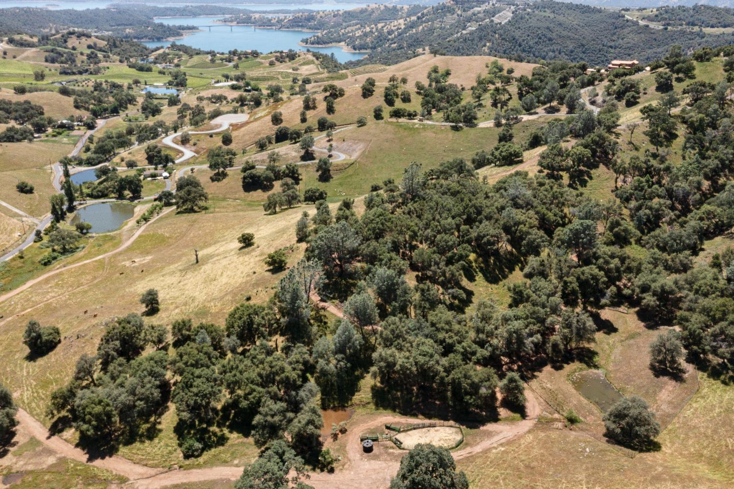 7570 Airola Road Vallecito, CA 95251 - Photo 69 of 90