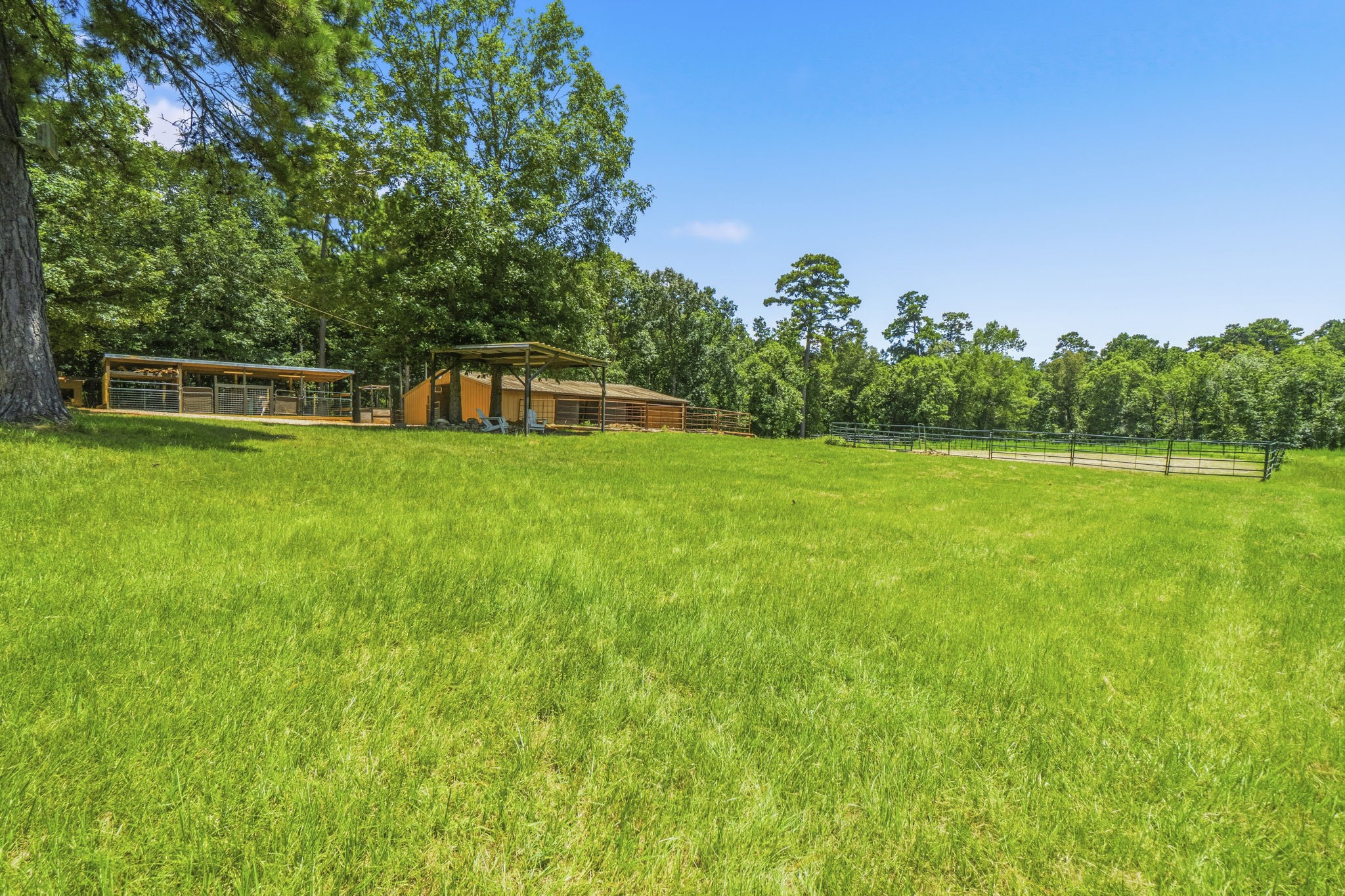 1239 Tony Peebles Road Livingston, TX 77351 - Photo 33 of 50 Gallery Image 33