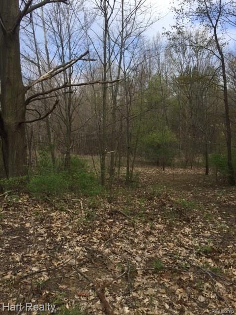 0 South Reese Road Frankenmuth, MI 48734 - Photo 8 of 15