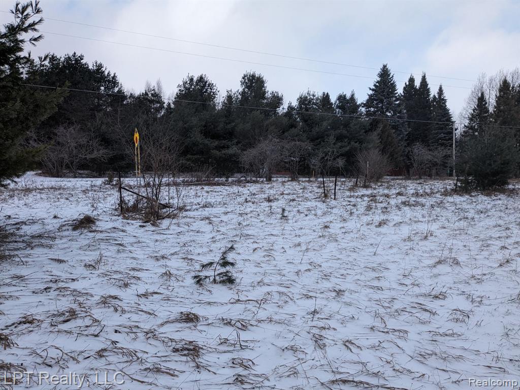 0 Woodmansee Road Cheboygan, MI 49721 - Photo 6 of 10