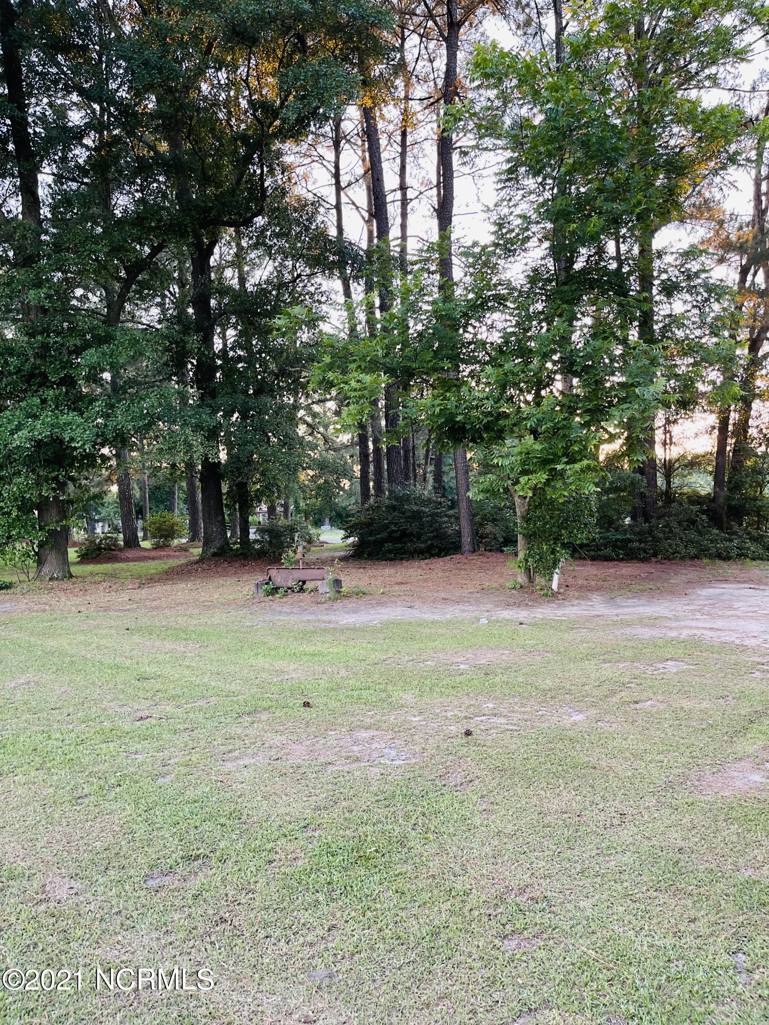 4714 Bearskin Road Clinton, NC 28328 - Photo 33 of 38 IMG_0204