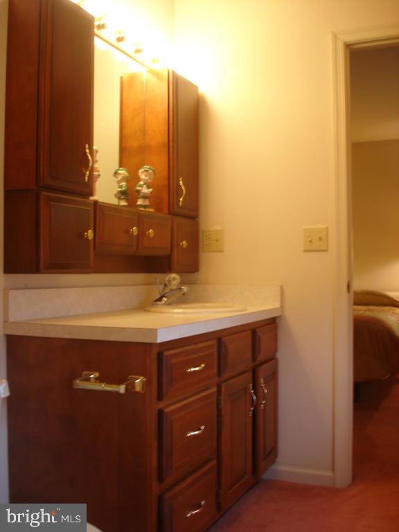 92 Sunrise Circle Denver, PA 17517 - Photo 7 of 15 a bathroom with a sink and a mirror