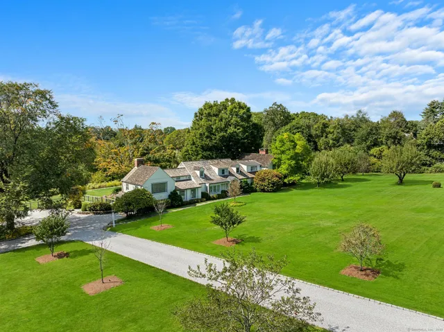 a view of a big yard with potted plants and large trees