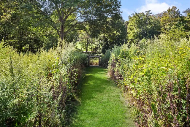 a view of a garden with a fountain