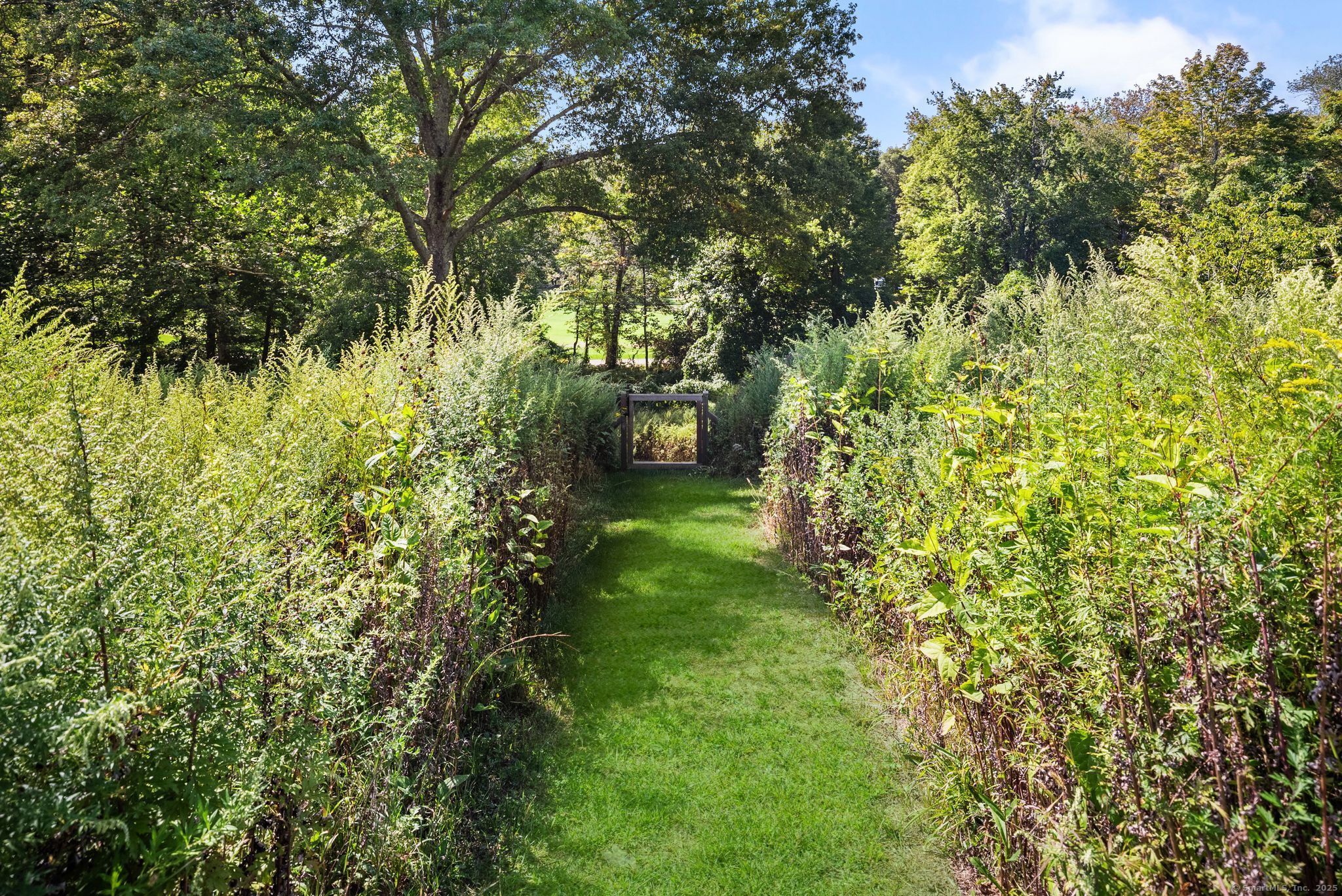 2281 Redding Road Fairfield, CT 06824 - Photo 37 of 40 a view of a yard