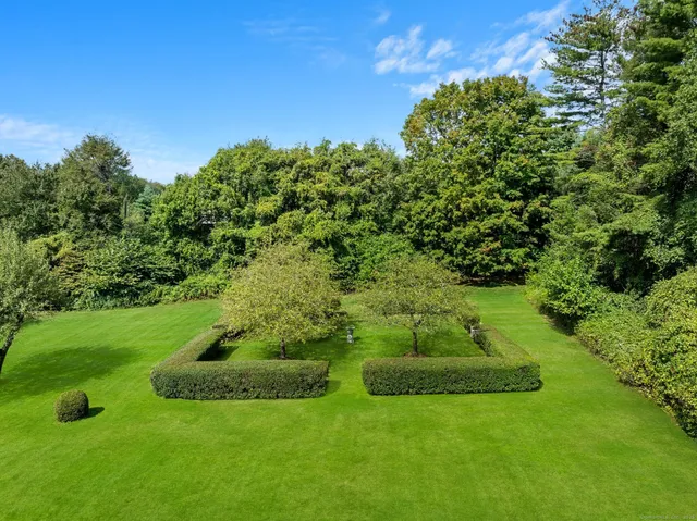 a view of a park with large trees