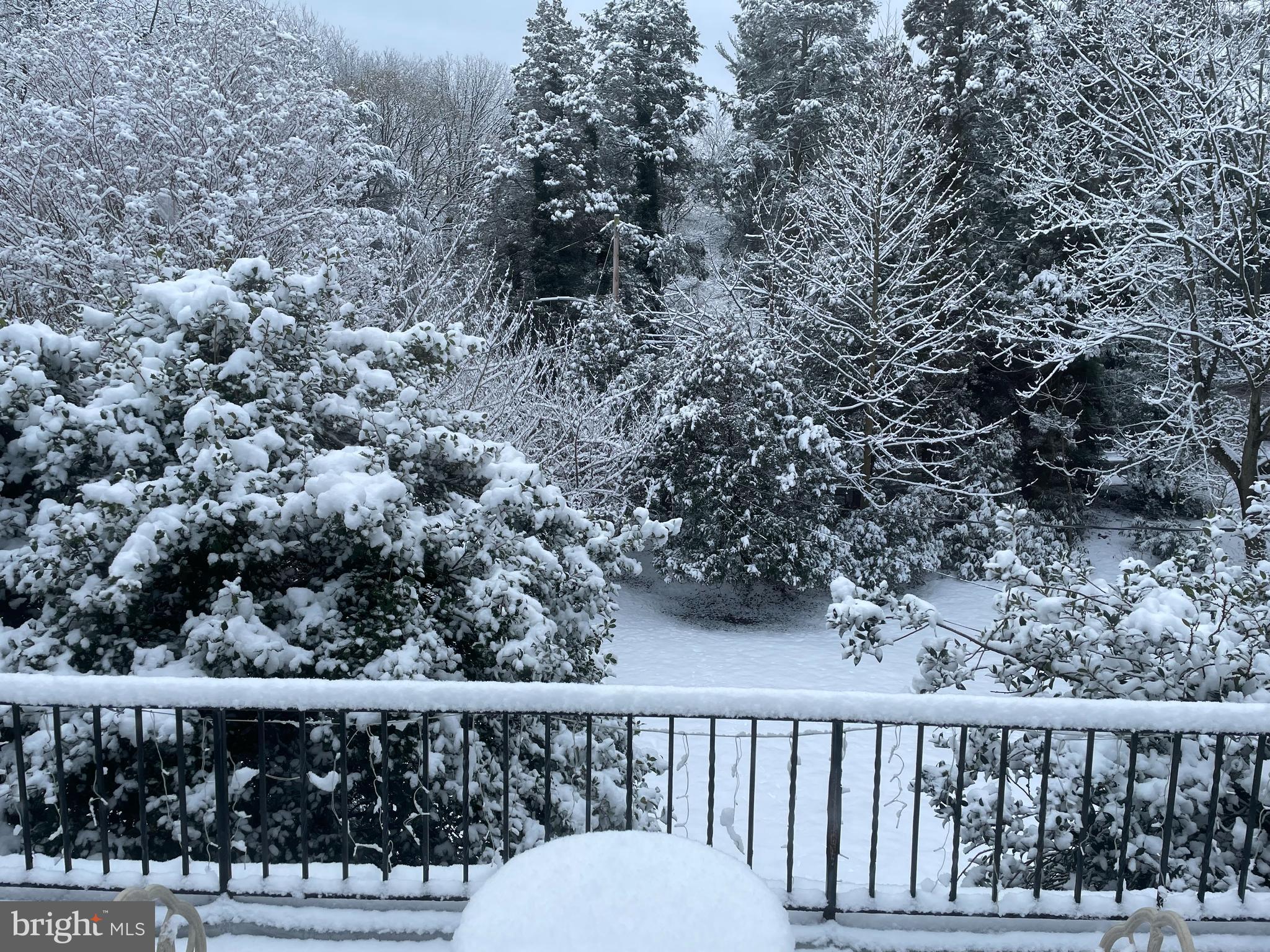 437 Crescent Road Wyncote, PA 19095 - Photo 38 of 53 Winter view from balcony