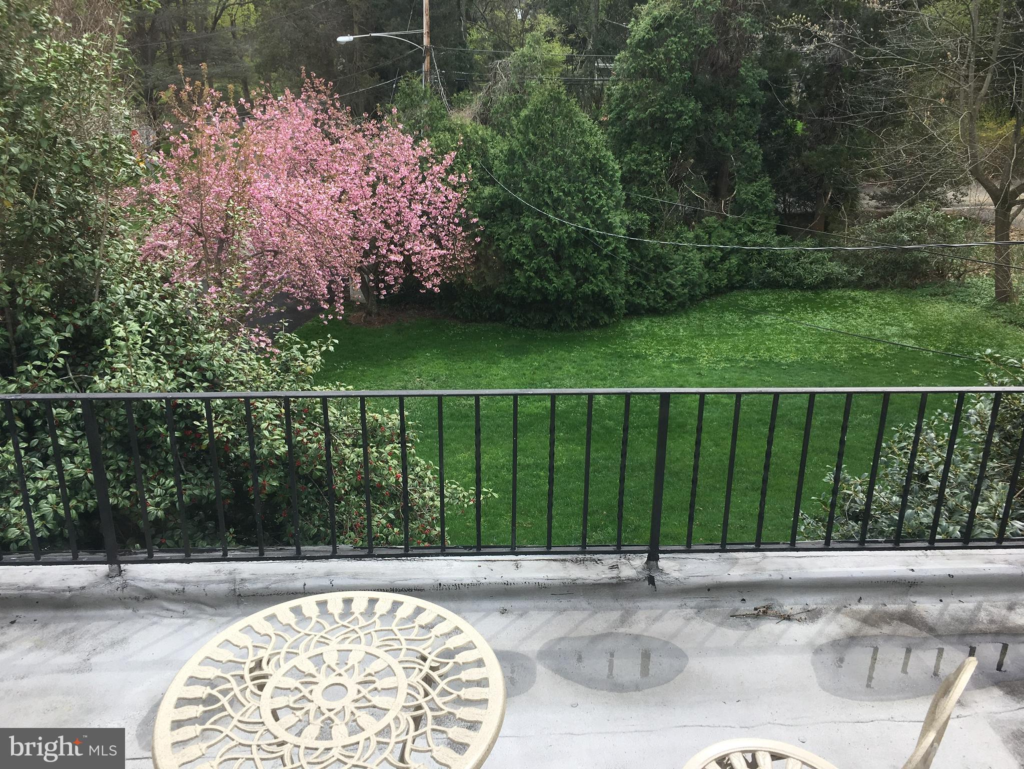 437 Crescent Road Wyncote, PA 19095 - Photo 39 of 53 Spring view from balcony