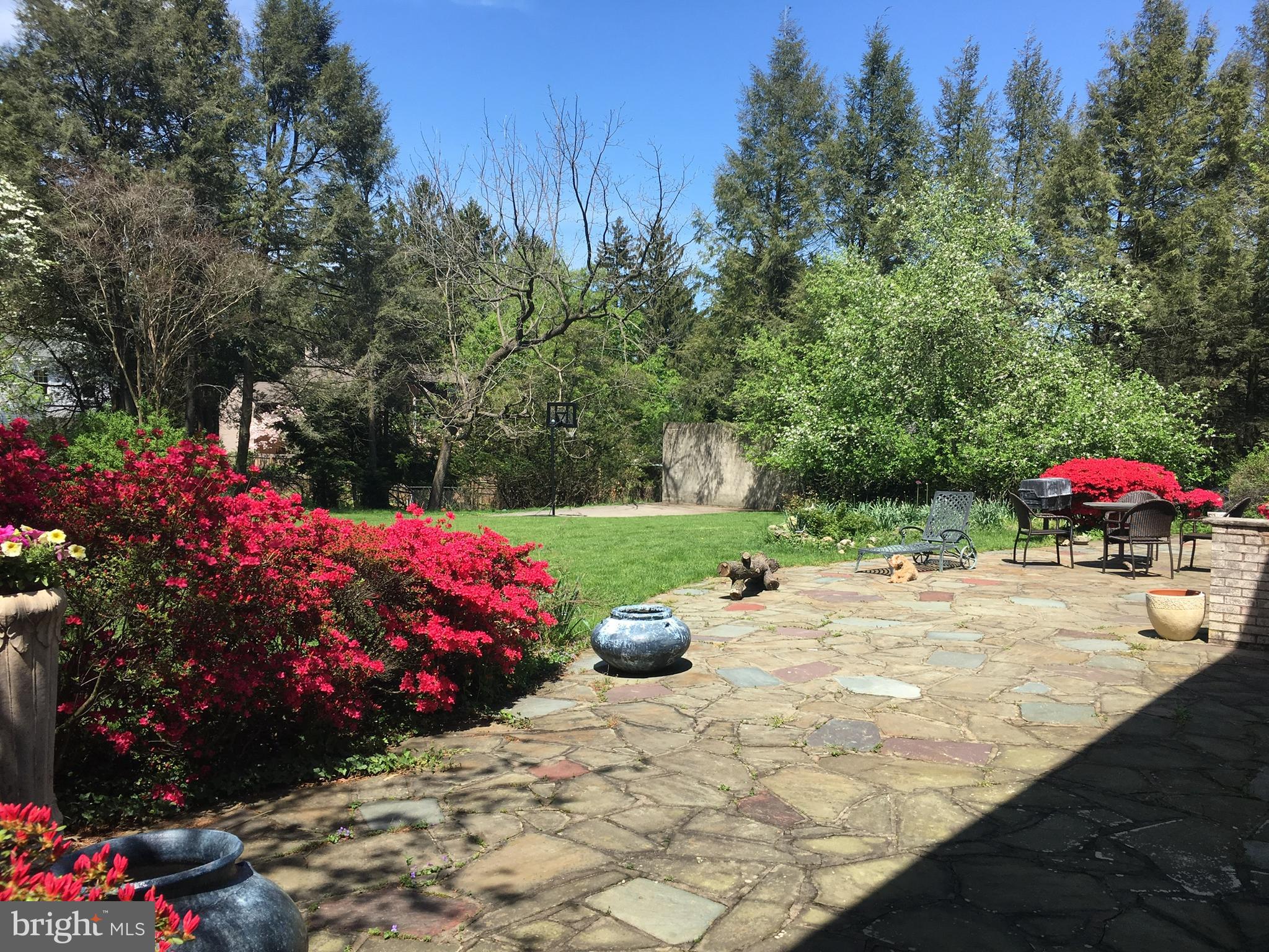 437 Crescent Road Wyncote, PA 19095 - Photo 45 of 53 Back patio view in spring