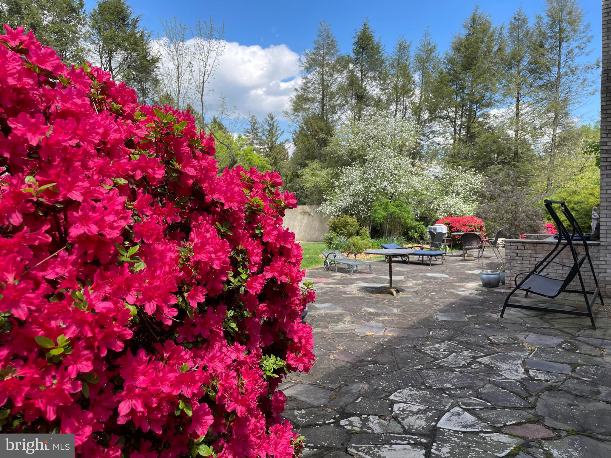 437 Crescent Road Wyncote, PA 19095 - Photo 46 of 53 Back patio during spring