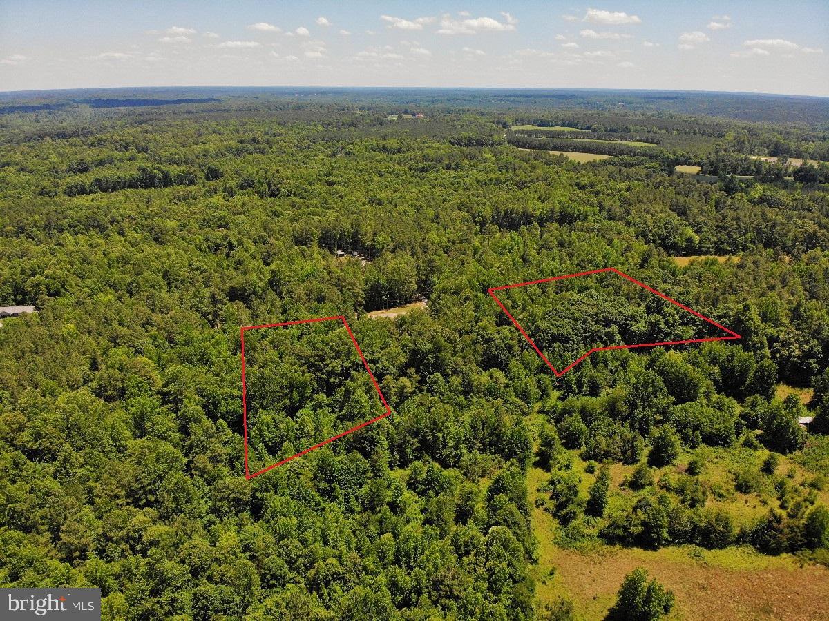 0 Lone Pine Road Crewe, VA 23930 - Photo 7 of 21