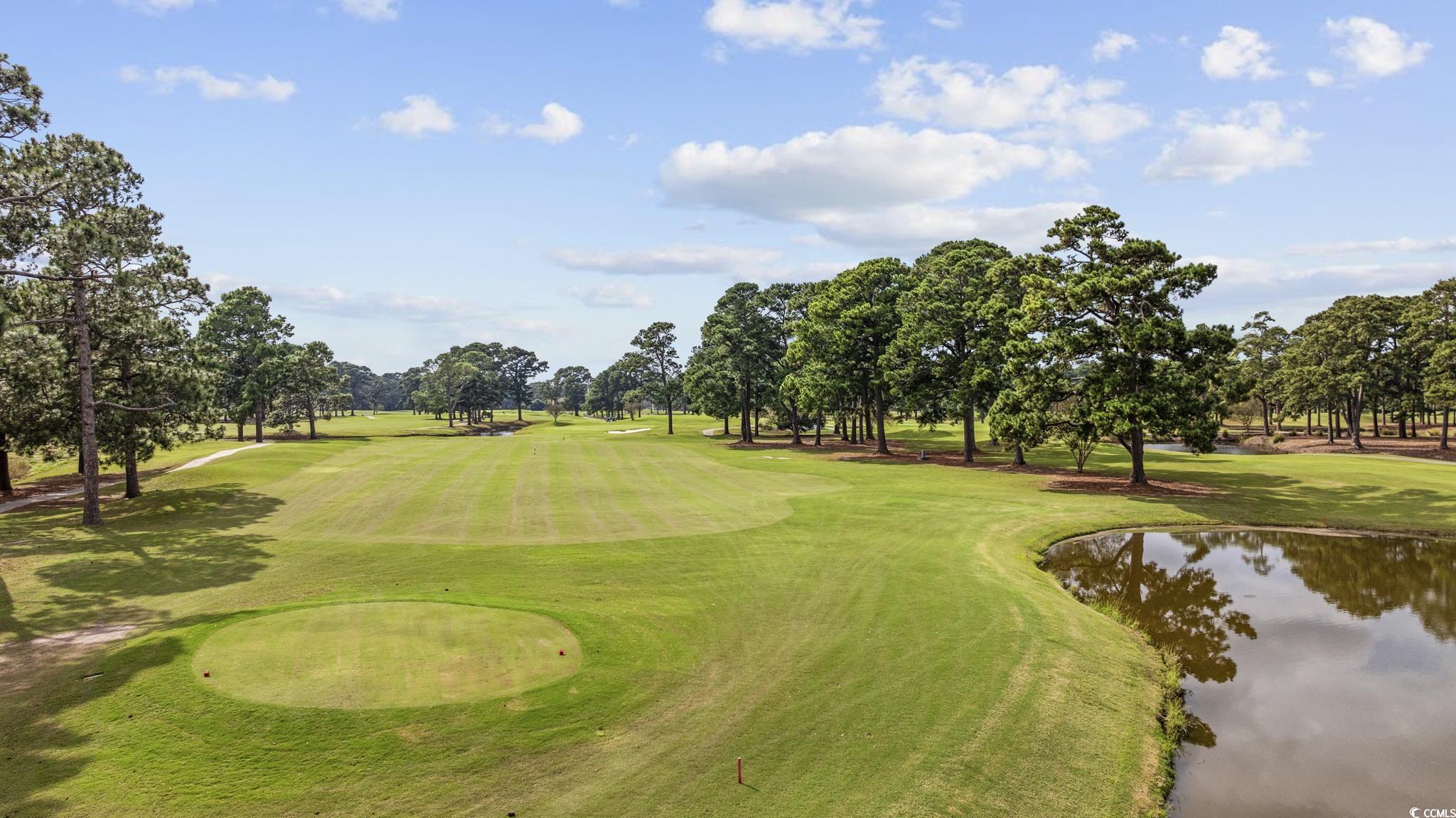 4869 Luster Leaf Circle, Unit 104 Myrtle Beach, SC 29577 - Photo 8 of 40