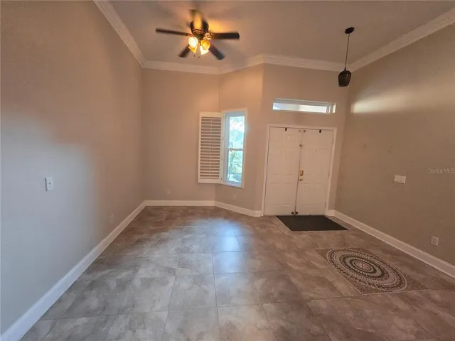 a view of a garden with a tree