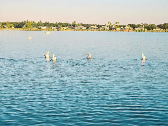 $434,900 | 10118 Cannon Drive, Riverview, FL 33578