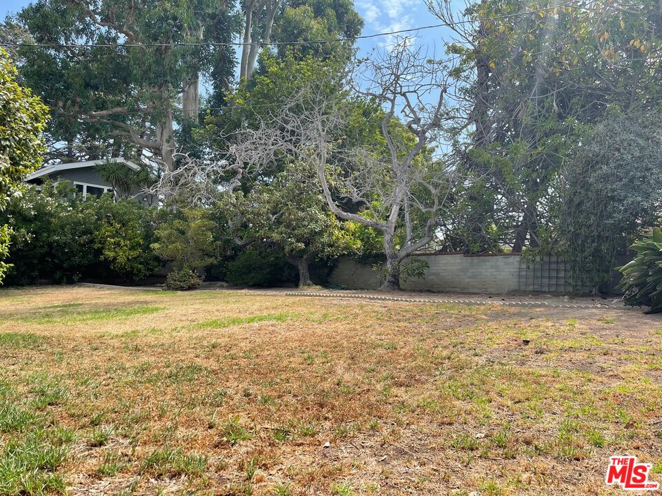 101 Larkin Place Santa Monica, CA 90402 - Photo 4 of 13 a backyard of a house with lots of green space