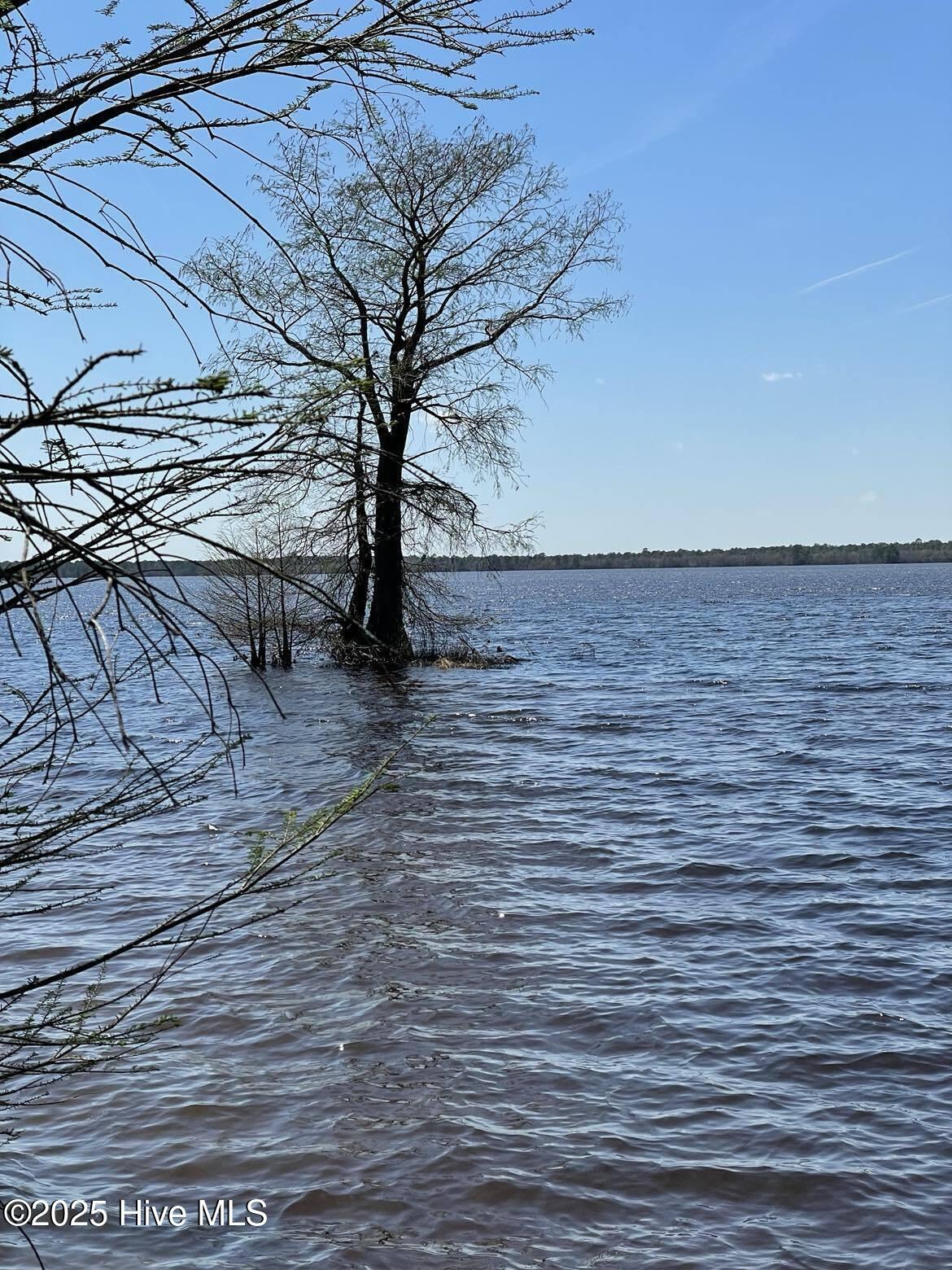806 Bay Tree Drive Harrells, NC 28444 - Photo 8 of 22 march307