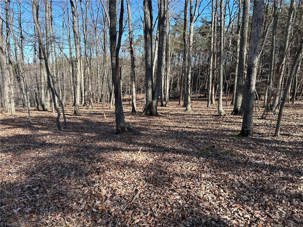 0 Price Road Eden, NC 27288 - Photo 2 of 7