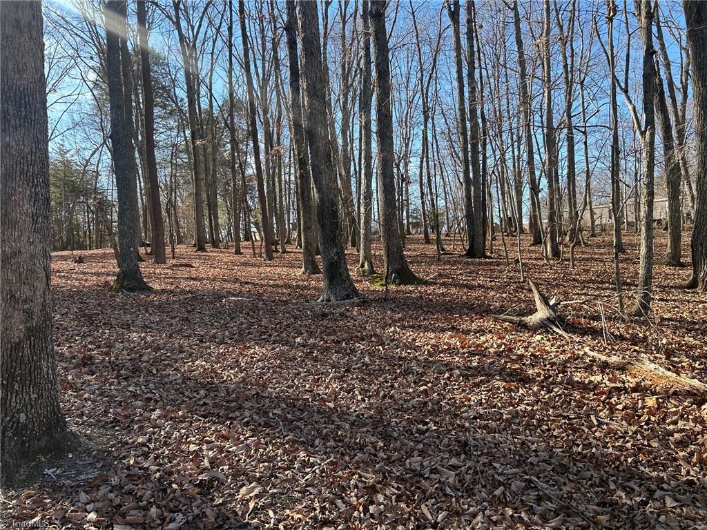 0 Price Road Eden, NC 27288 - Photo 3 of 7