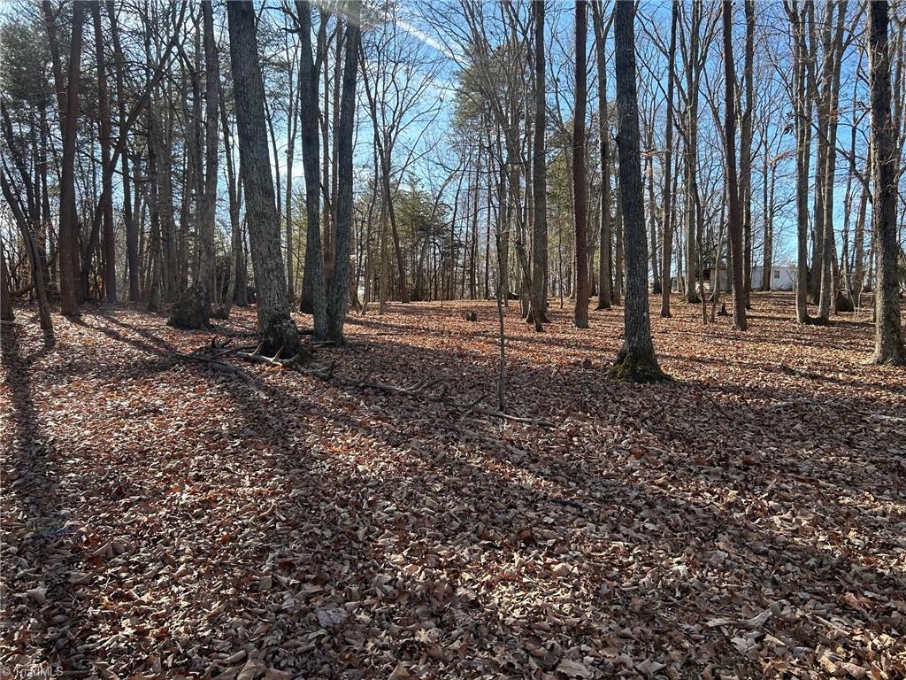 0 Price Road Eden, NC 27288 - Photo 4 of 7