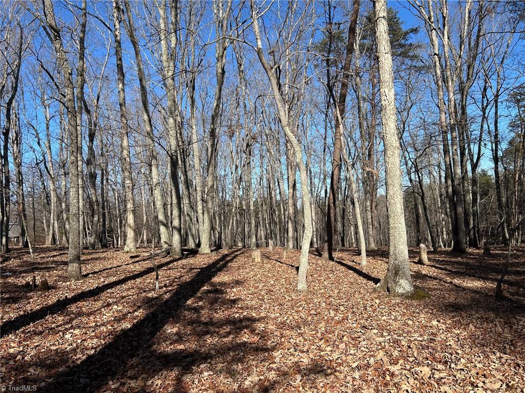 0 Price Road Eden, NC 27288 - Photo 5 of 7