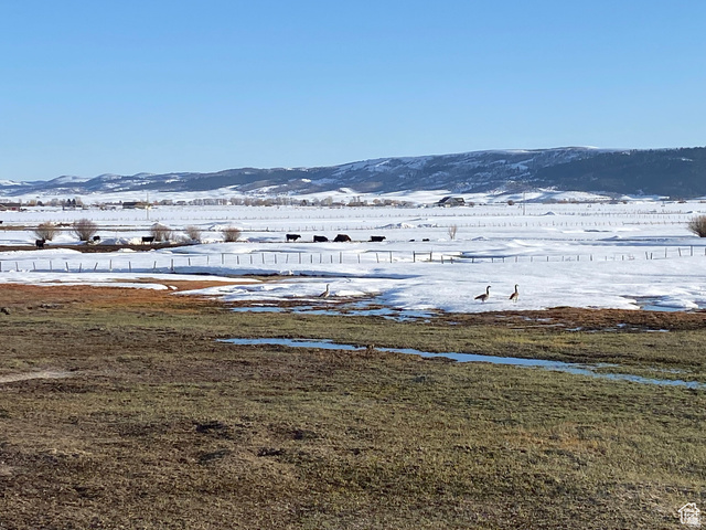 79 Auburn Forest Road Auburn, WY 83111 - Photo 65 of 76 Mountain view