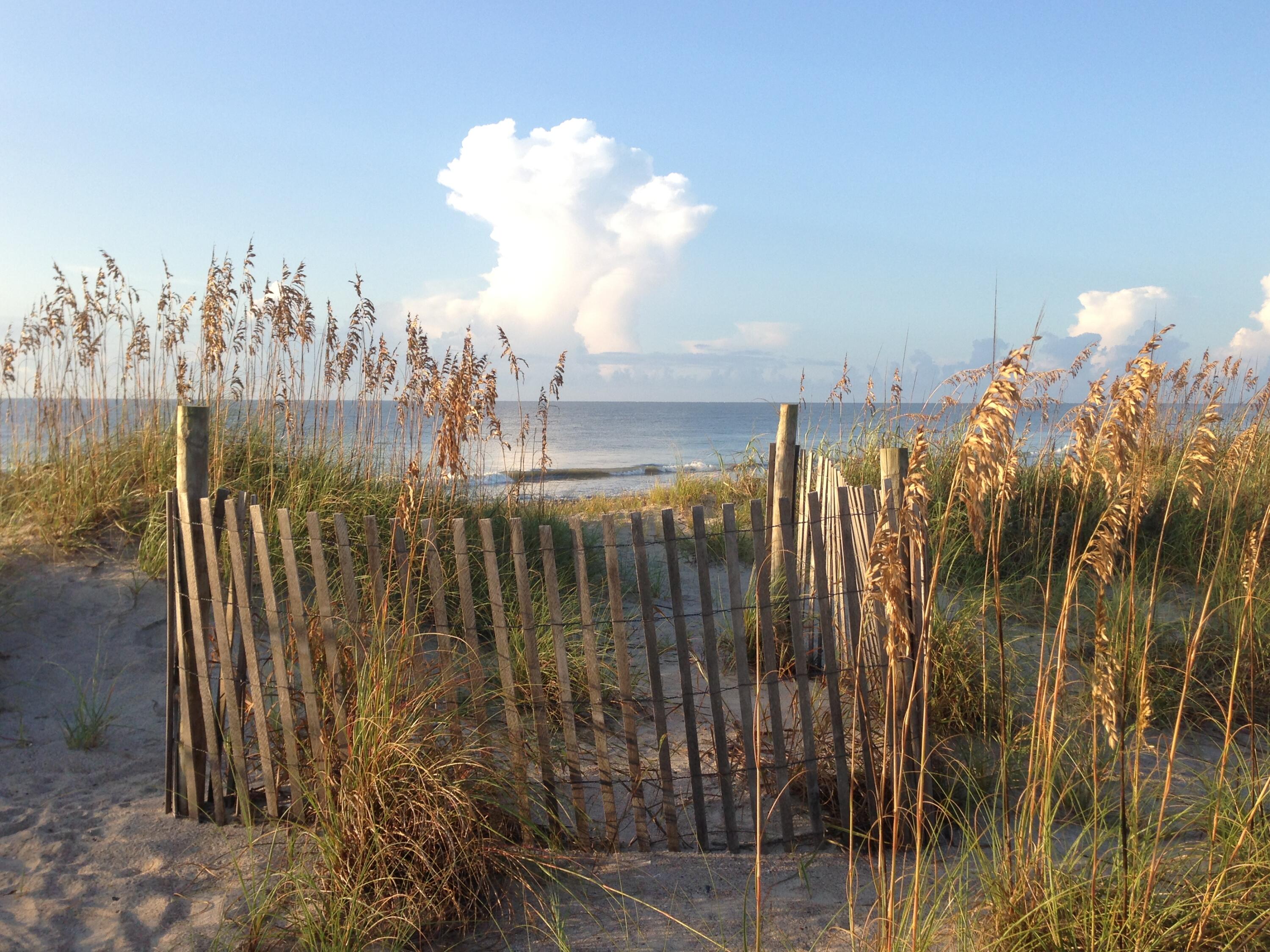 3516 Myrtle Street Edisto Beach, SC 29438 - Photo 58 of 59 61