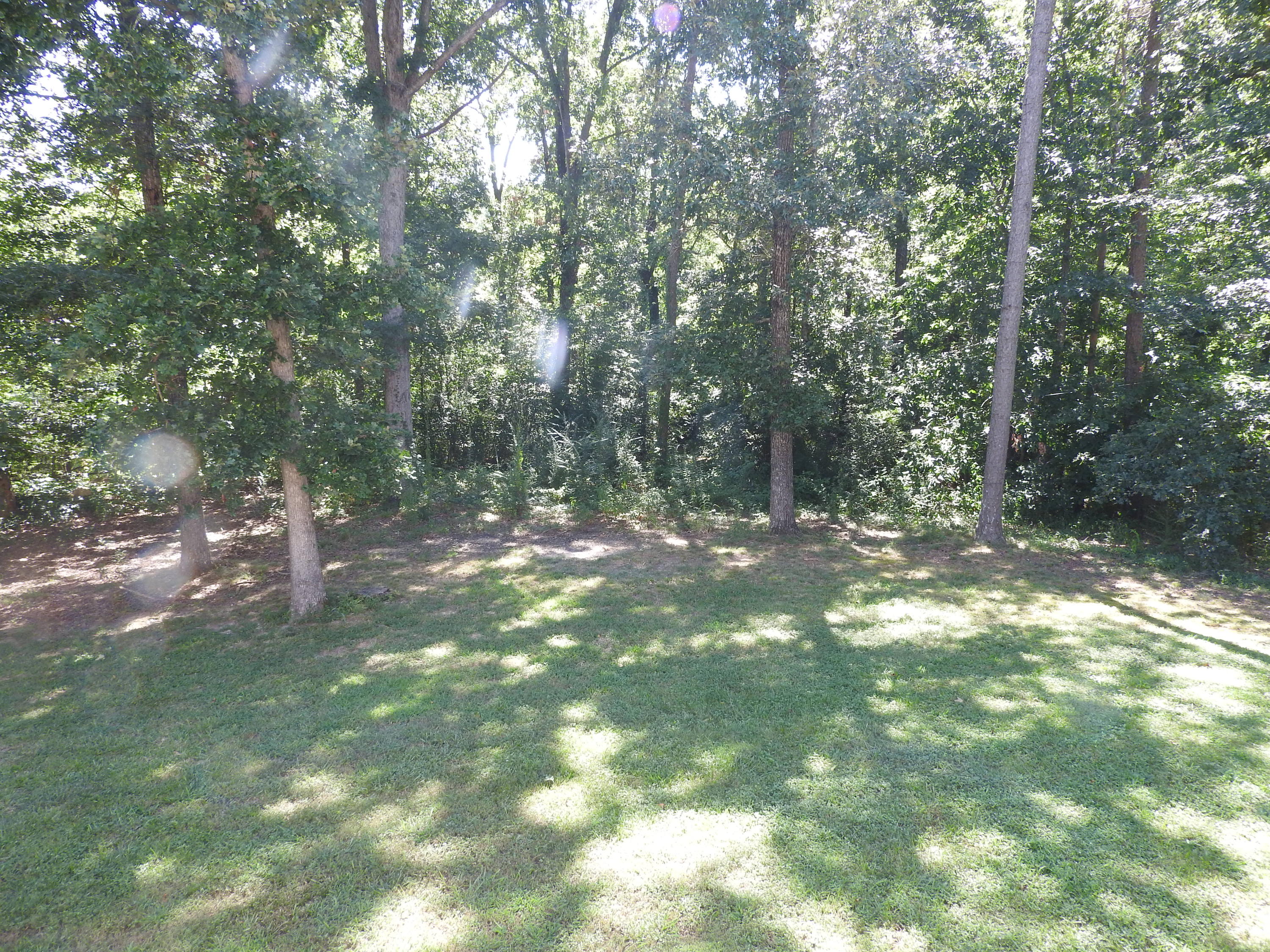 149 MacMillan Road Northeast Cleveland, TN 37323 - Photo 42 of 47 BACK YARD