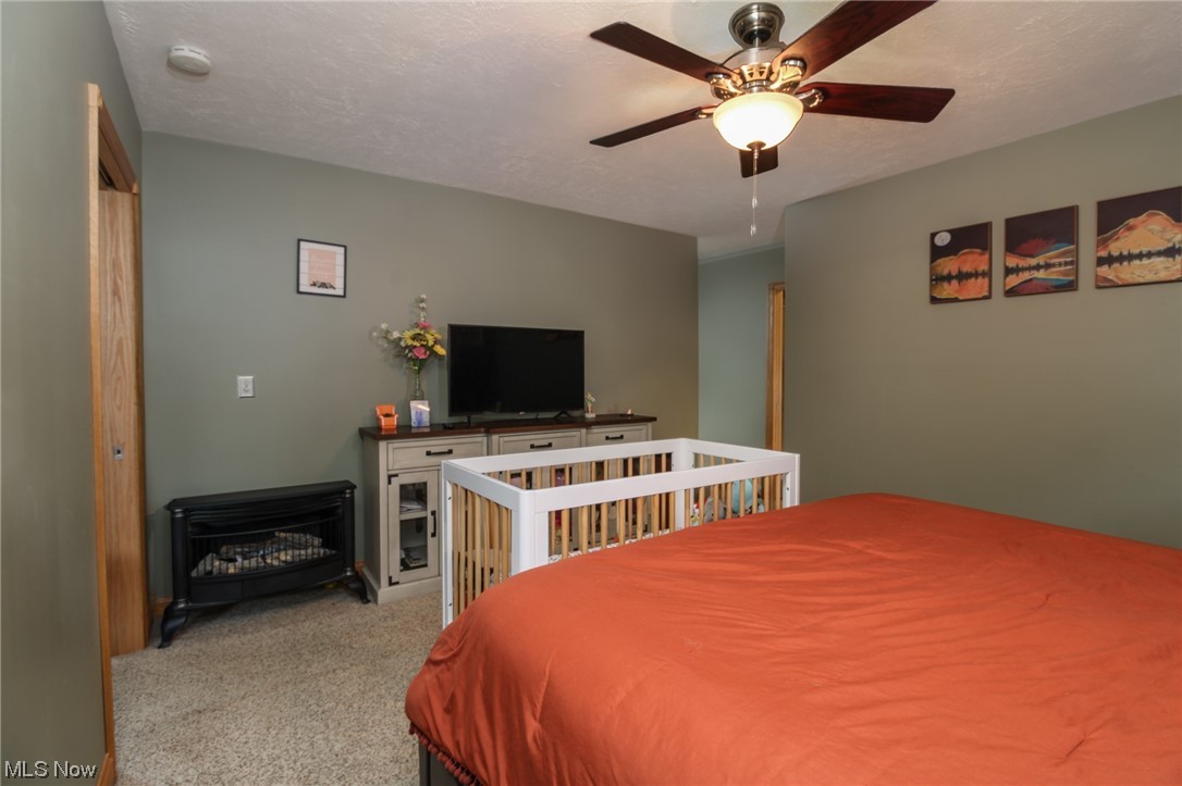 692 Tick Ridge Road Vincent, OH 45784 - Photo 21 of 40 Bedroom featuring light colored carpet, a wood stove, and ceiling fan