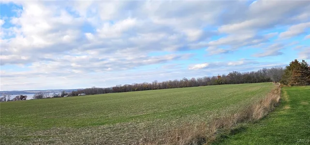 $300,000 | Kennedy Road, Romulus, NY 14541