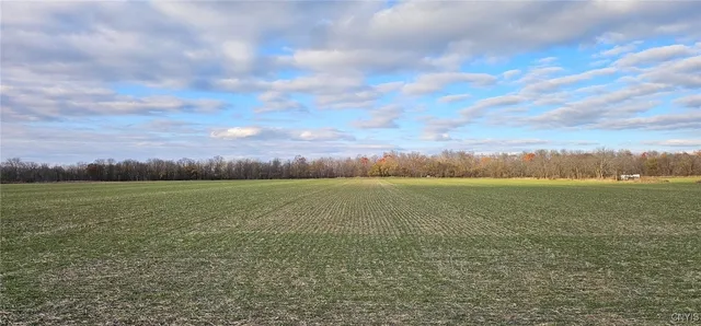 $300,000 | Kennedy Road, Romulus, NY 14541