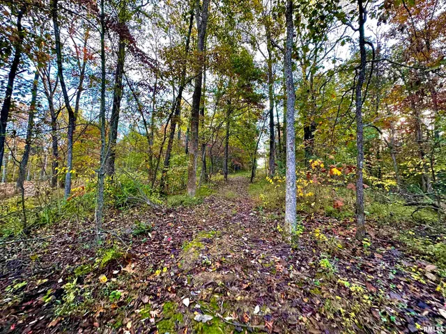 $279,900 | 718 Karbers Ridge Road, Elizabethtown, IL 62931