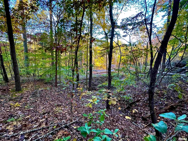 $279,900 | 718 Karbers Ridge Road, Elizabethtown, IL 62931