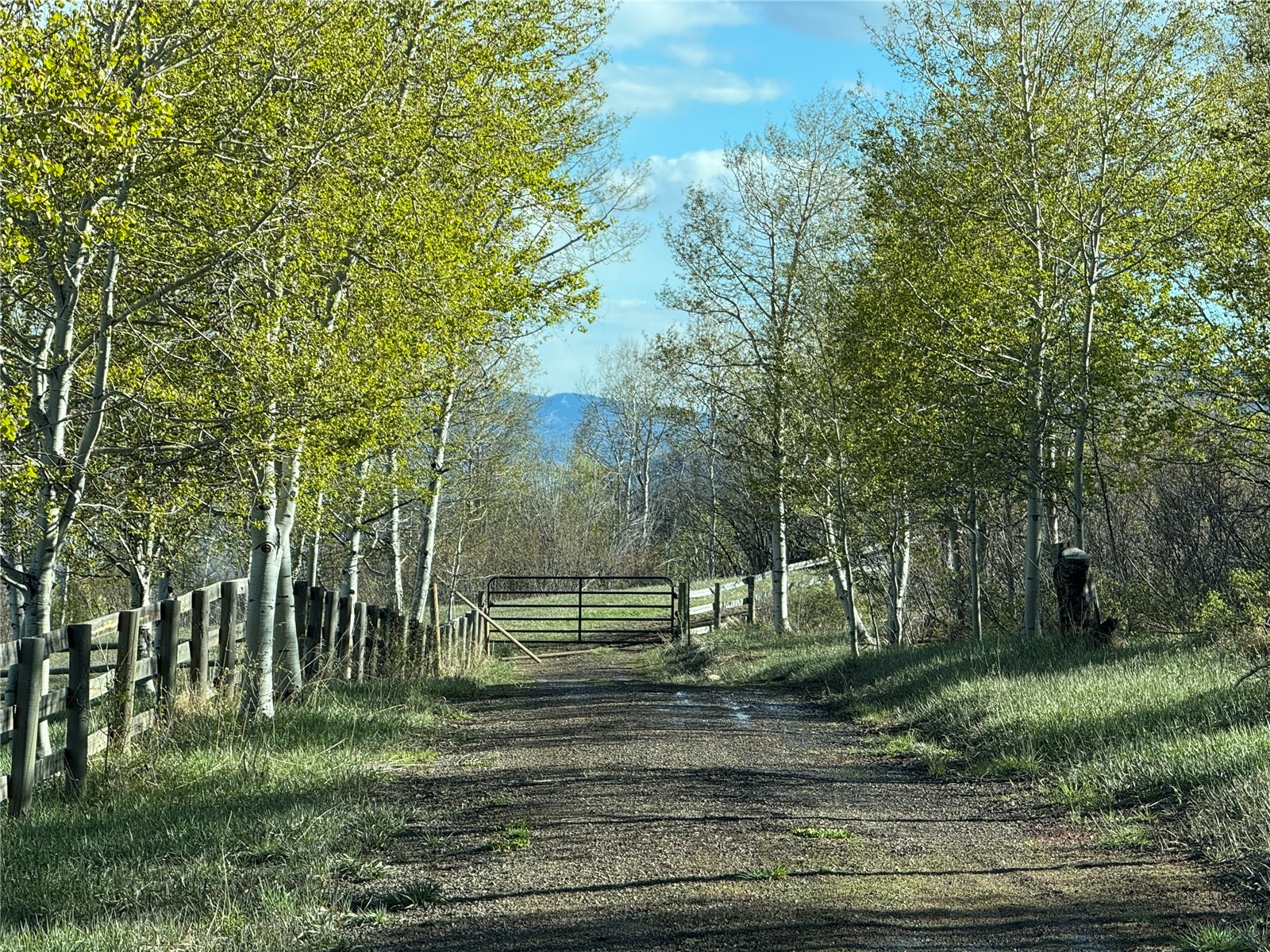 31775 Bradley Ranch Steamboat Springs, CO 80487 - Photo 15 of 49 a view of park with trees