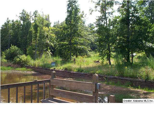 263 County Road 263, Unit 2 PARCLS Lineville, AL 36266 - Photo 5 of 14
