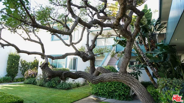a view of a garden with a tree