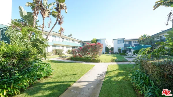 a view of a house with a big yard and potted plants