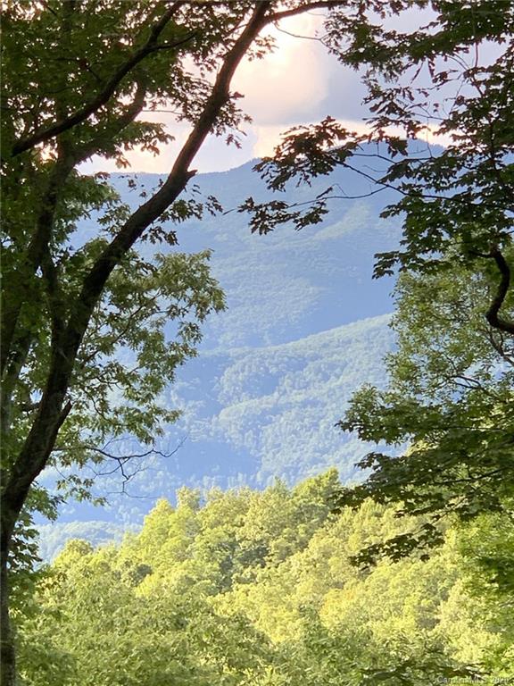 324 Boar Ridge Road, Unit 126 Sylva, NC 28779 - Photo 1 of 7 a view of a garden with an ocean