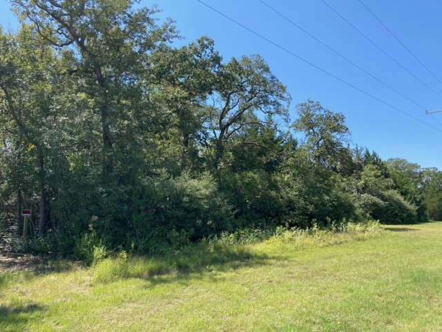 0 Sawmill Road Franklin, TX 77856 - Photo 12 of 12 a view of a yard