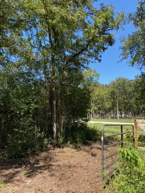 0 Sawmill Road Franklin, TX 77856 - Photo 2 of 12 a view of a yard with plants and trees
