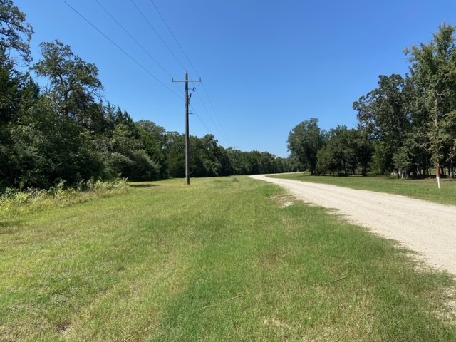0 Sawmill Road Franklin, TX 77856 - Photo 5 of 12 a view of a field with a tree in the background