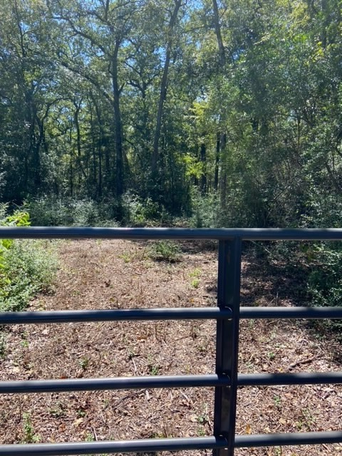 0 Sawmill Road Franklin, TX 77856 - Photo 7 of 12 a view of a garden from a window